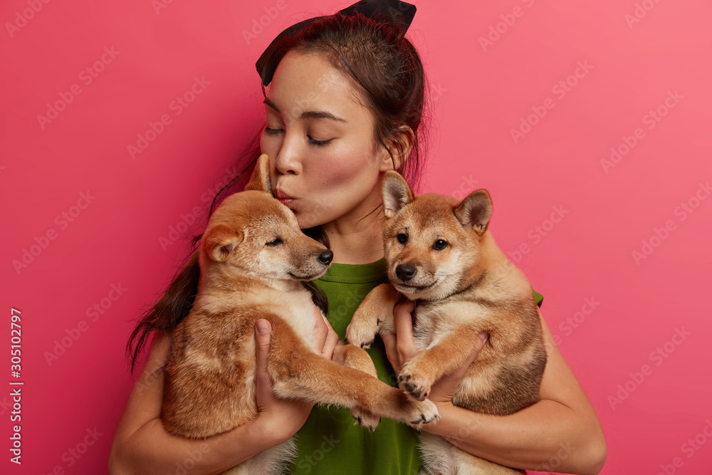 Photo of responsible female host kisses cute puppies, carries to groomer or vet, attend dog salon, have friendly relationship, poses against pink background, play together at home. Petting and animals