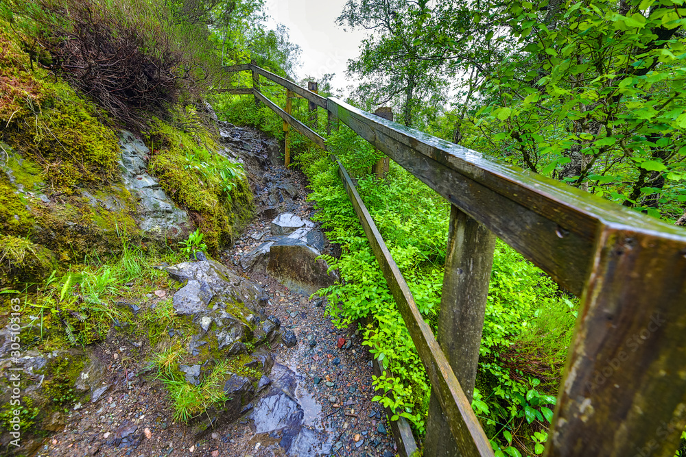 Picturesque landscape of a mountain forest with traditional nature of Scotland. Picturesque landscape of a mountain forest with traditional nature of Scotland.