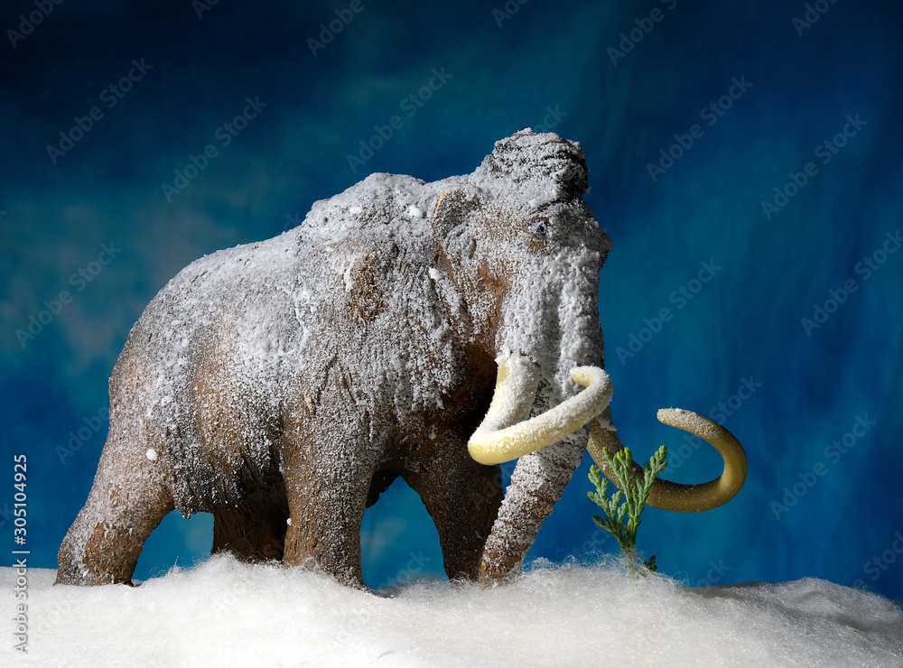 Fototapeta Prehistoric woolly mammoth model diorama scene