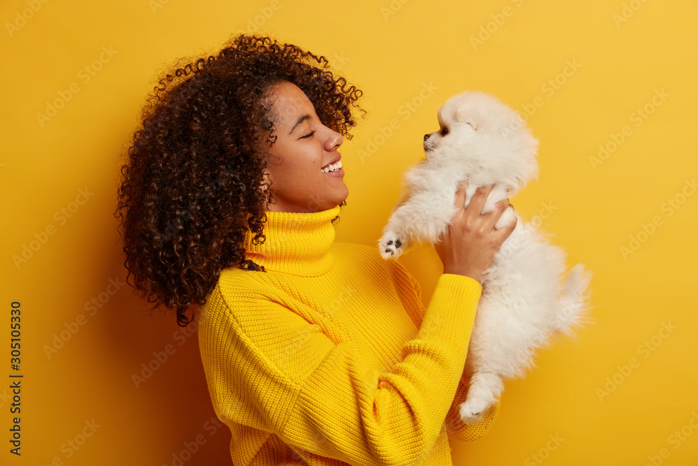 Profile shot of brunette curly woman poses with white spitz, has playful mood, pets small fluffy dog, relax at home, being best friends, satisfied after walk outdoor. Owner and pet relationship Profile shot of brunette curly woman poses with white spitz, has playful mood, pets small fluffy dog, relax at home, being best friends, satisfied after walk outdoor. Owner and pet relationship