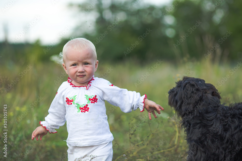 little girl in white clothes plays with black dog. Communication of children and animals. Good home dog outdoor little girl in white clothes plays with black dog. Communication of children and animals. Good home dog outdoor