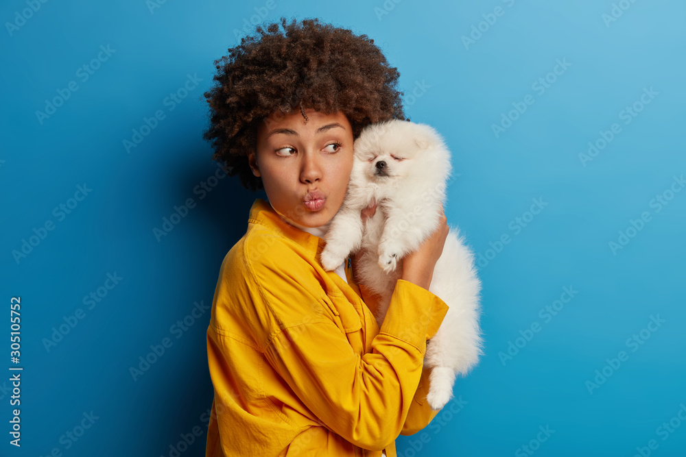 Portrait of curly woman with folded lips, carries white dog, spitz breed, dressed in yellow shirt, stands against blue background. Veterinary and animals concept. Professional groomer or vet with pet Portrait of curly woman with folded lips, carries white dog, spitz breed, dressed in yellow shirt, stands against blue background. Veterinary and animals concept. Professional groomer or vet with pet