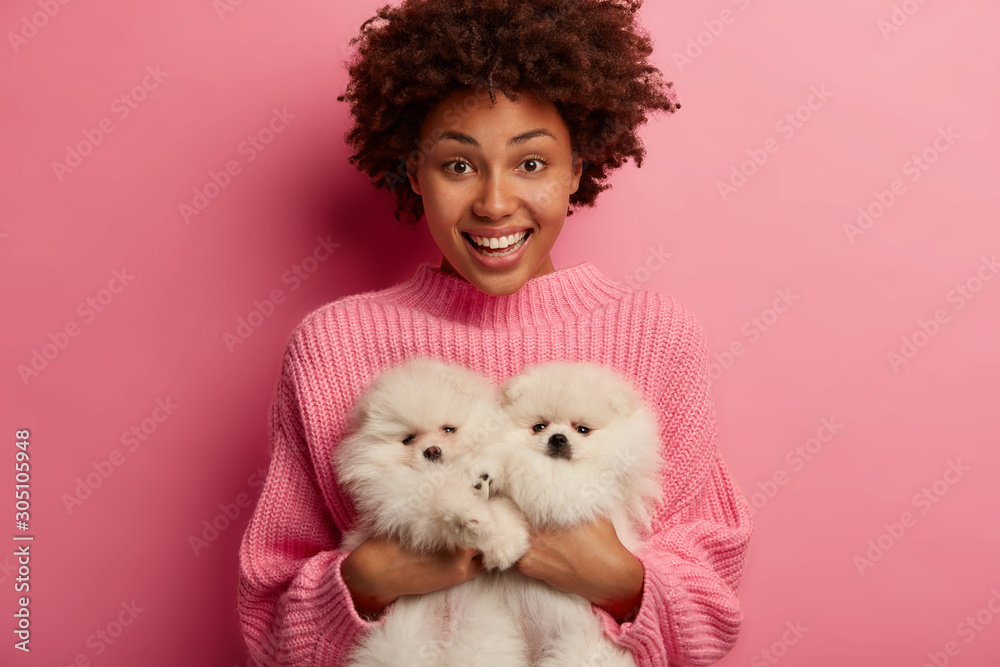 Joyous woman happy to buy two similar fluffy dogs in pet store, expresses warm feelings, dreams about many pets at home, wears knitted oversized pink sweater. Closeness, affection, animal care Joyous woman happy to buy two similar fluffy dogs in pet store, expresses warm feelings, dreams about many pets at home, wears knitted oversized pink sweater. Closeness, affection, animal care
