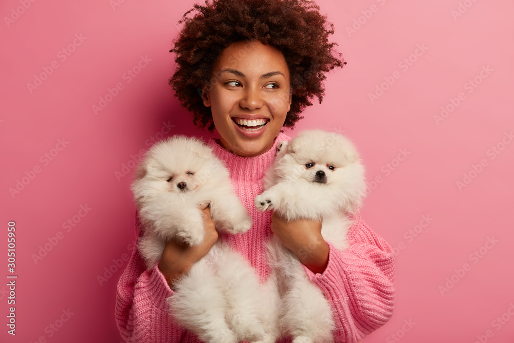 Image of merry dark skinned woman with broad smile, bought pedigree spitz dogs in pet shop, looks gladfully aside, has fun with lovely animals, participate in dogshow, isolated on pink studio wall Image of merry dark skinned woman with broad smile, bought pedigree spitz dogs in pet shop, looks gladfully aside, has fun with lovely animals, participate in dogshow, isolated on pink studio wall
