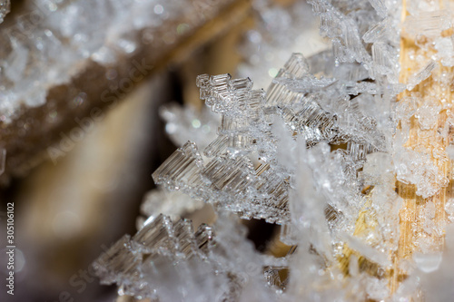 Crystal hoarfrost on plants macro