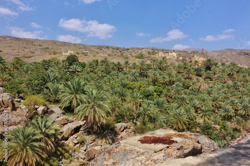 Panoramic View over Misfat al Abriyeen Plantations photo