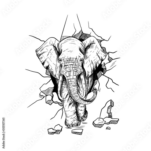 Furious elephant, crushing the wall, going through