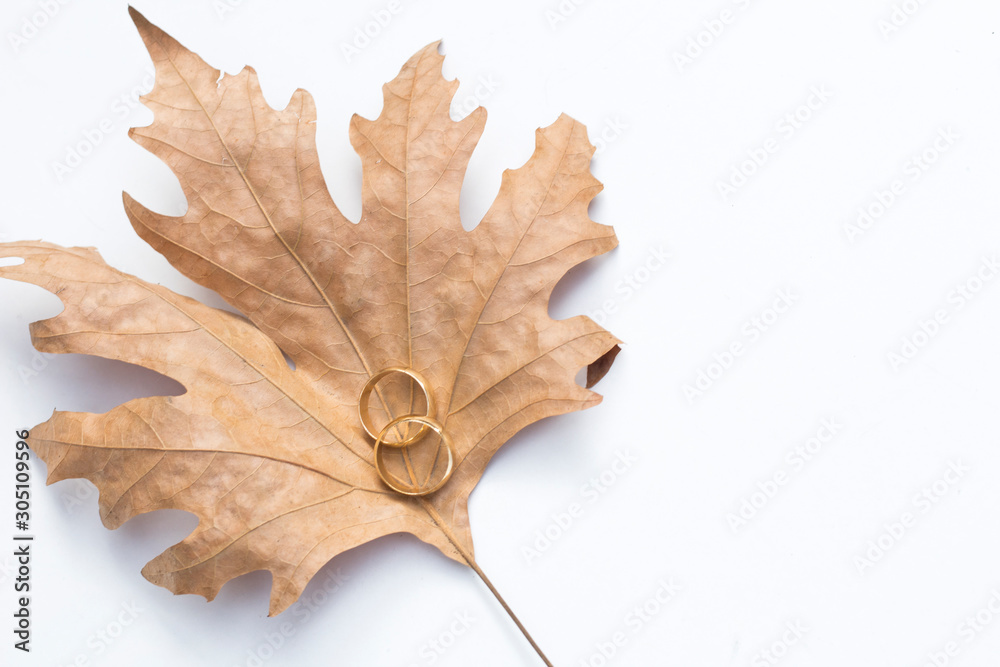 two golden wedding rings isolated on white, wedding rings background autumn concept two golden wedding rings isolated on white, wedding rings background autumn concept