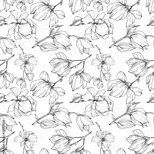 Vector Magnolia floral botanical flowers. Black and white engraved ink art. Seamless background pattern.