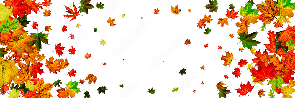 Autumn leaves on ground. November falling pattern background. Thanksgiving season concept