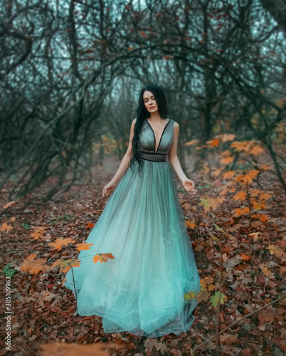 brunette woman with long hair walks in autumn forest of November. Background black bare trees and fallen orange leaves. Queen enjoys nature. Royal luxury puffy turquoise dress. Graduation Party Image