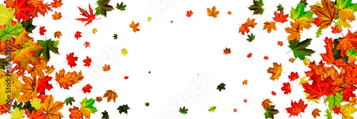 Autumn leaves on ground. November falling pattern background. Thanksgiving season concept