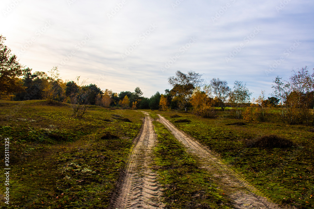 Fototapeta premium Way in the park in autumn. Fall forest landscape.