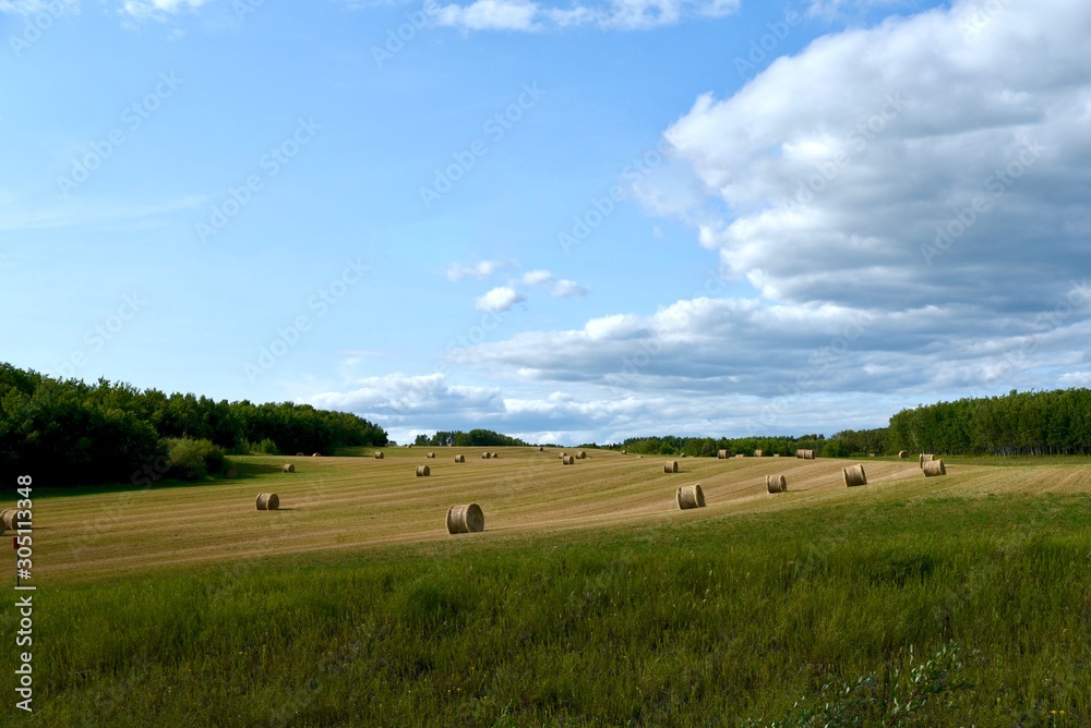 Storm front over a field with round bales