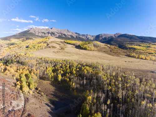 Autumn Aspen Color