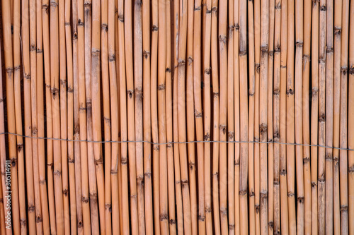 Reed screening texture  Natural Willow Garden Fence  Bamboo texture background.