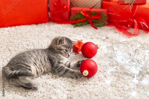 Christmas cat play with red balls. Beautiful little tabby kitten, kitty, cat near Christmas gift boxes, decorations, chrismas balls and ligts at home. Happy New Year animal, pet. Christmas cozy home. photo