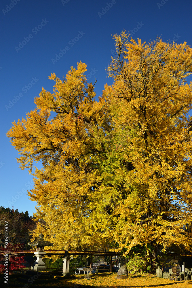 Naklejka premium 阿木長楽寺