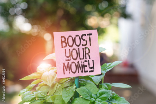 Text sign showing Boost Your Money. Business photo showcasing increase your bank saving using effective methods Plain empty paper attached to a stick and placed in the green leafy plants