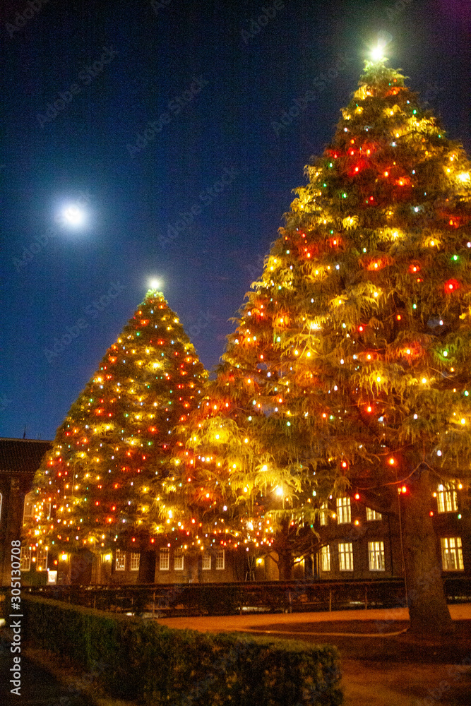 クリスマスツリー 立教大学 Stock 写真 Adobe Stock