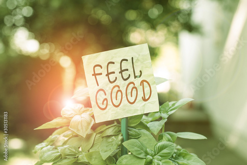 Text sign showing Feel Good. Business photo text relating to or promoting an often specious sense of satisfaction Plain empty paper attached to a stick and placed in the green leafy plants © Artur
