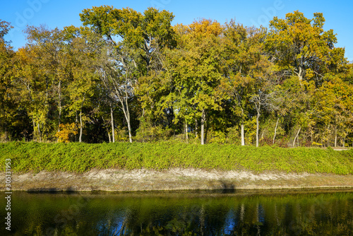 Trees with pond in Wylie, Texas