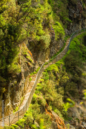 ニュージーランド コロマンデル近郊のカランガハケ渓谷の山道