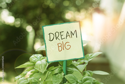 Conceptual hand writing showing Dream Big. Concept meaning seeking purpose for your life and becoming fulfilled in process Plain paper attached to stick and placed in the grassy land © Artur