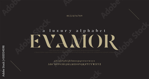 Plakat Eleganckie luksusowe litery i cyfry alfabetu. Klasyczne litery minimalne wzory mody. Czcionki typograficzne zwykłe wielkie i małe litery. ilustracji wektorowych