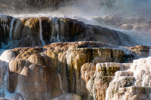 geyser in Yellowstone