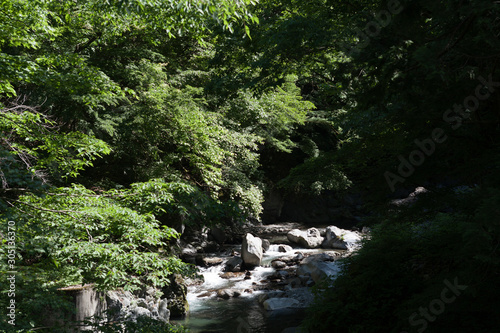 鷹ノ巣山、山の渓流