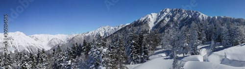 winter mountain landscape with trees and snow