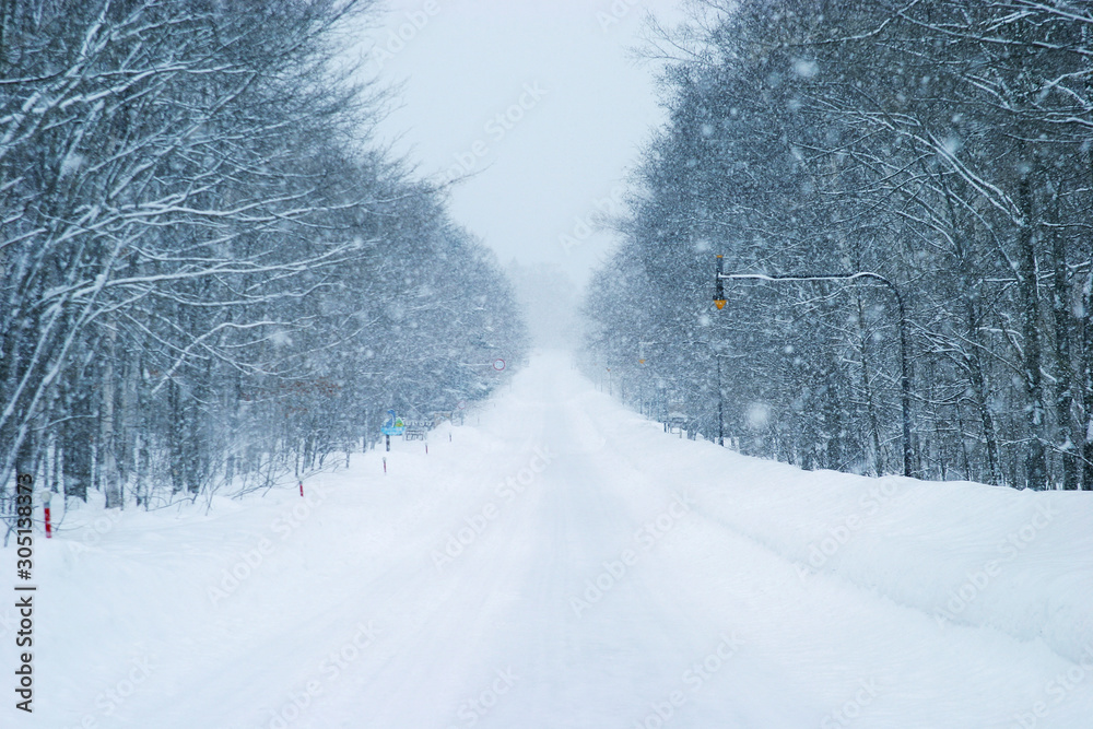 Obraz premium 吹雪の一本道