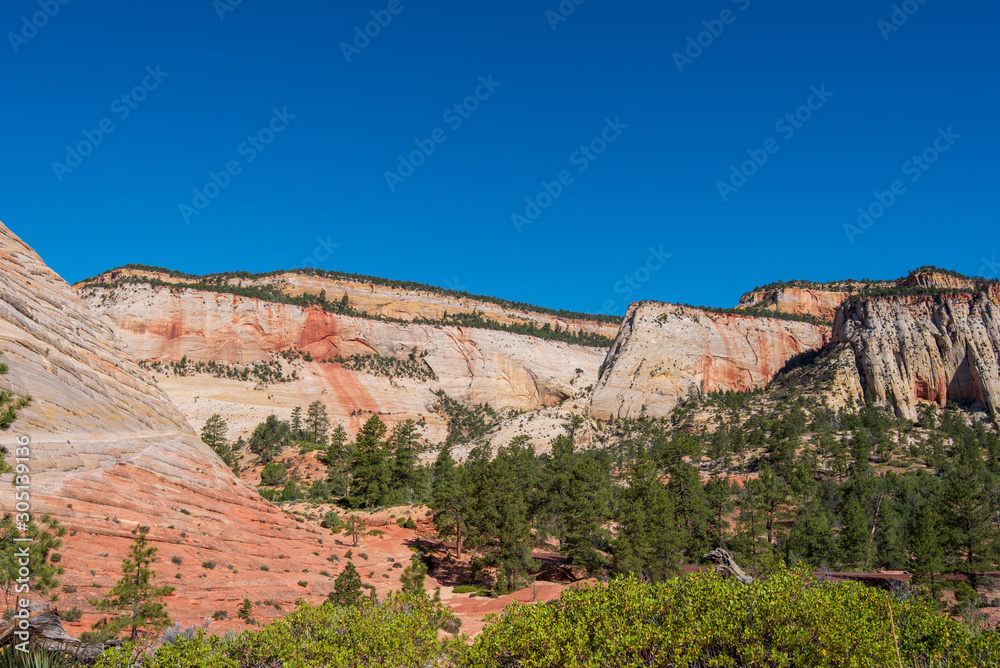Zion National Park low angle landscape of tree-studded multi-colored stone hills at Checkerboard Mesa