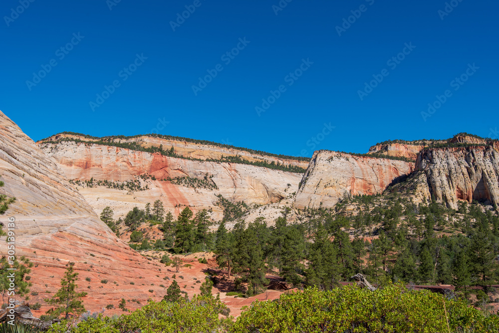 Zion National Park low angle landscape of tree-studded multi-colored stone hills at Checkerboard Mesa Zion National Park low angle landscape of tree-studded multi-colored stone hills at Checkerboard Mesa