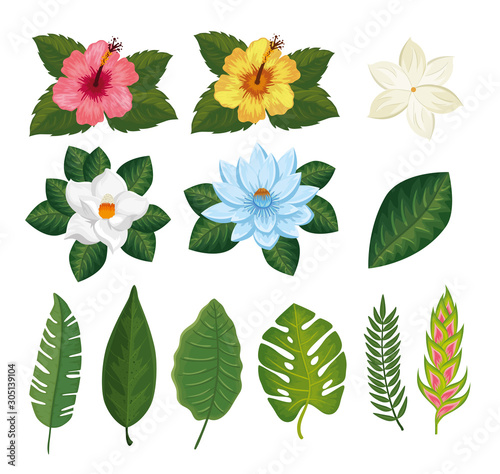 set of flowers and leafs tropicals vector illustration design © Gstudio