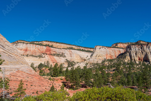 Zion National Park low angle landscape of tree-studded multi-colored stone hills at Checkerboard Mesa © Angela