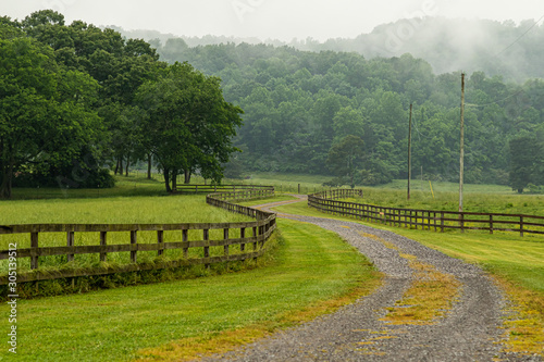 rural road in the countryside