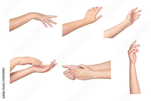 Set of Woman hands isolated on white background.