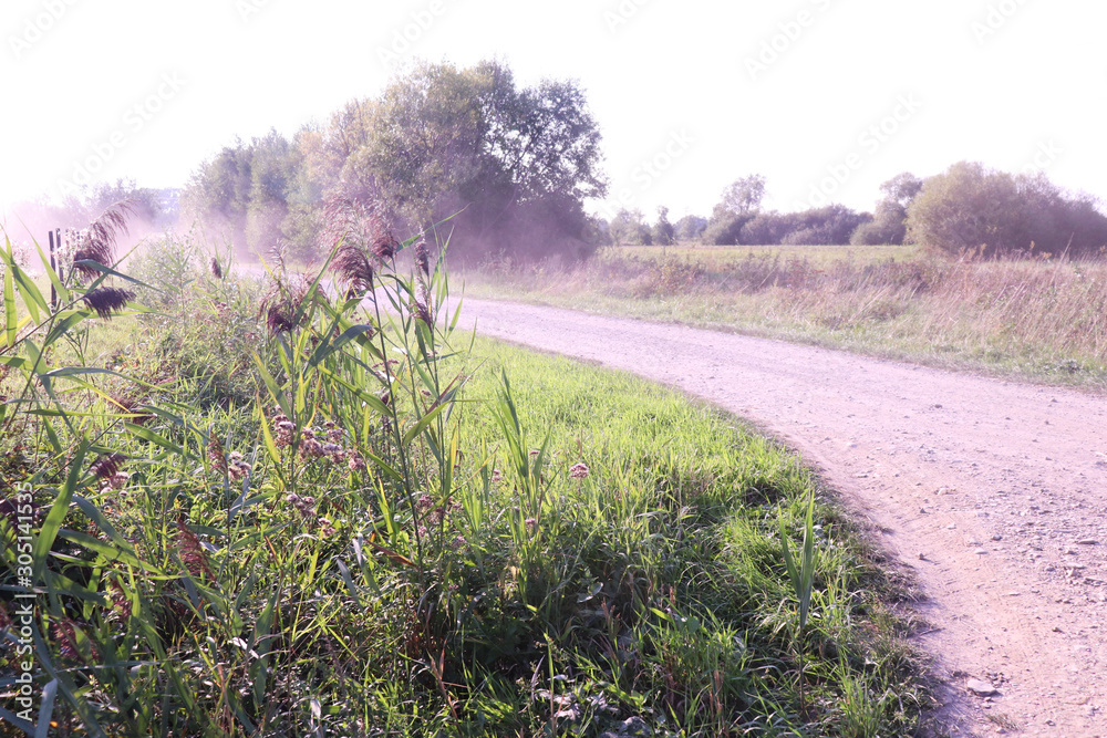 Dust on road