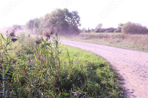 Obraz na płótnie Dust on road w salonie