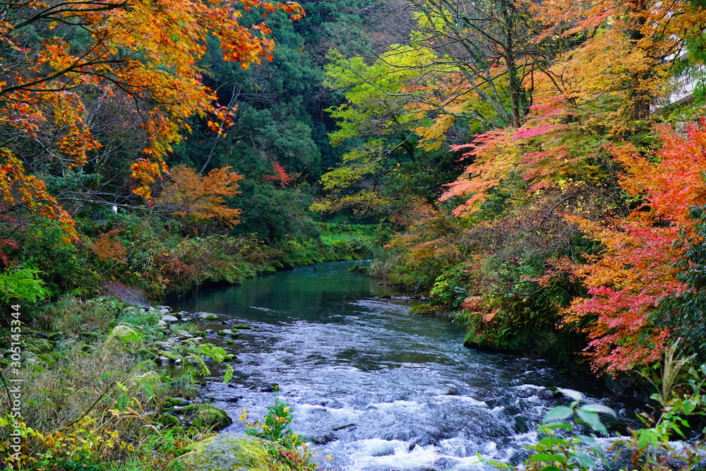 鶴仙渓の紅葉 鶴仙渓の紅葉