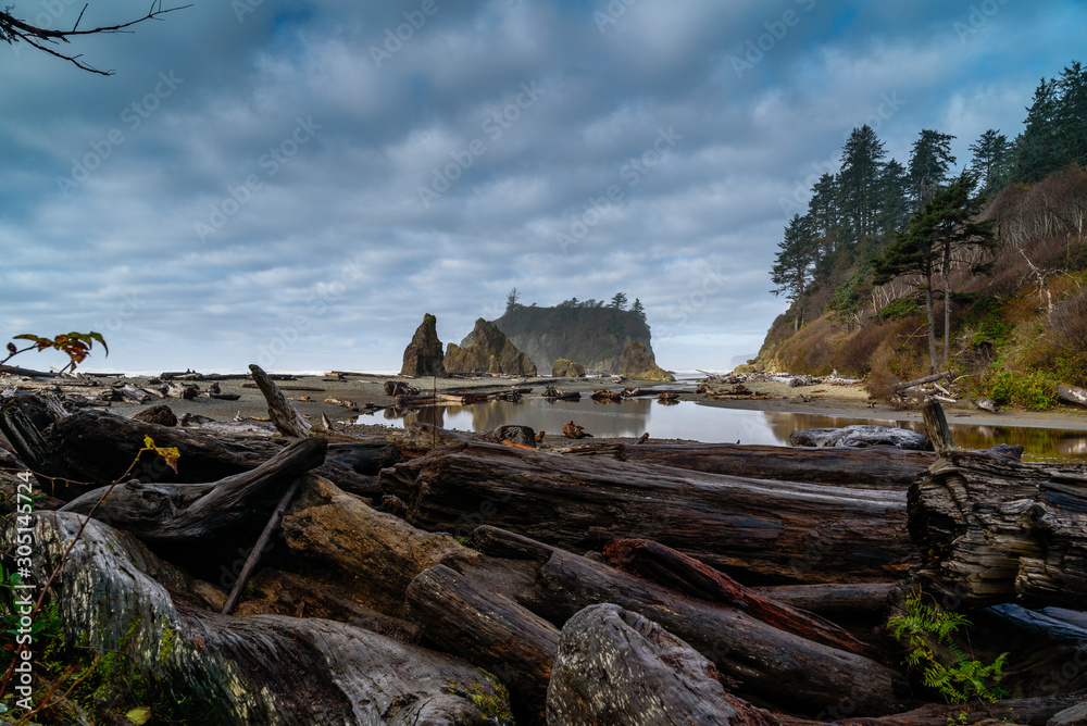 Fototapeta premium Ruby Beach