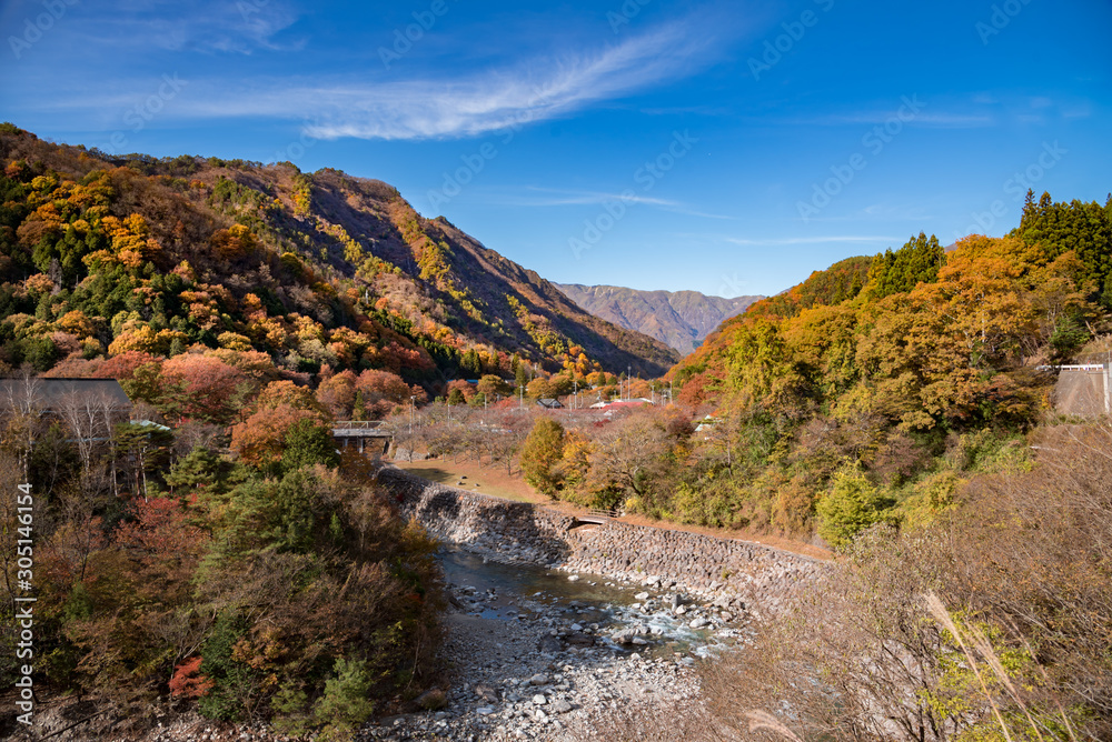Obraz premium 田舎の風景 紅葉