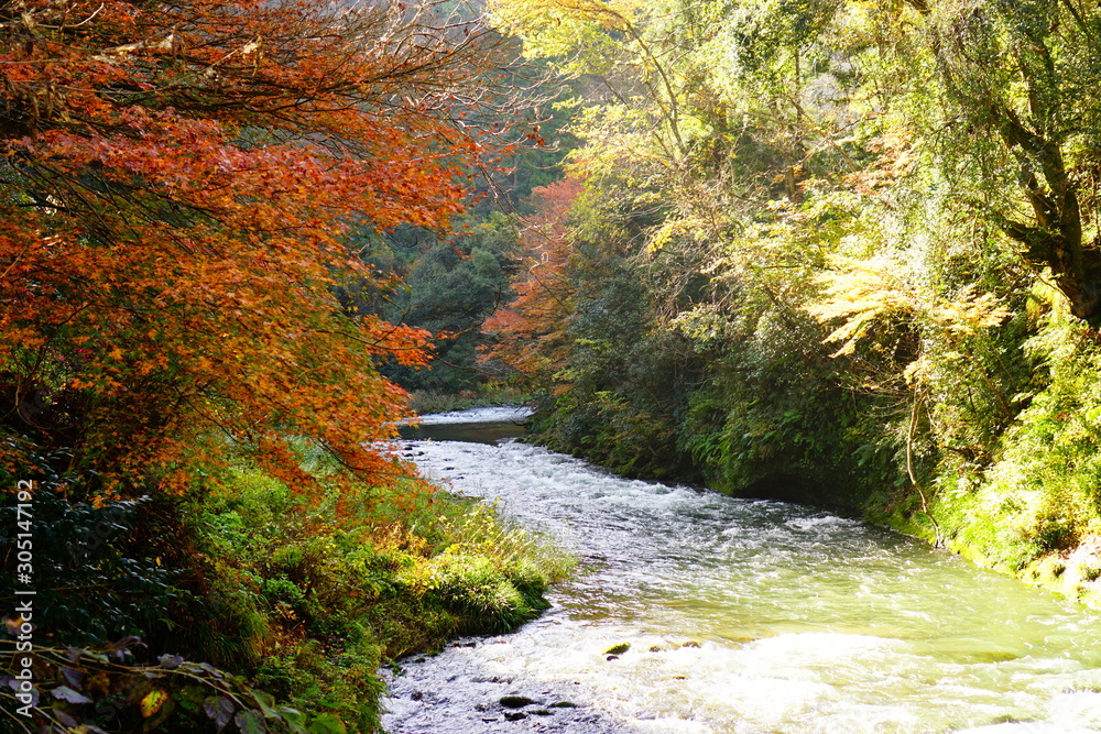 鶴仙渓の紅葉 鶴仙渓の紅葉