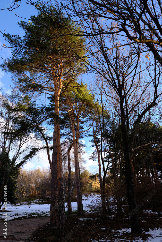 Fototapeta premium Mountain landscape, autumn forest.