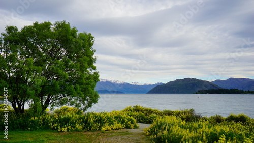 Fototapeta Naklejka Na Ścianę i Meble -  Beautiful view in a spring time in Wanaka Lake, New Zealand