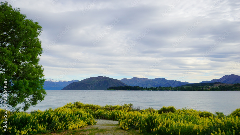 Beautiful view in a spring time in Wanaka Lake, New Zealand