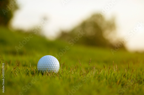 golf ball is on a green lawn in a beautiful golf course