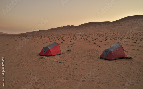 Scenic landscape of Wahiba Sands desert in Oman